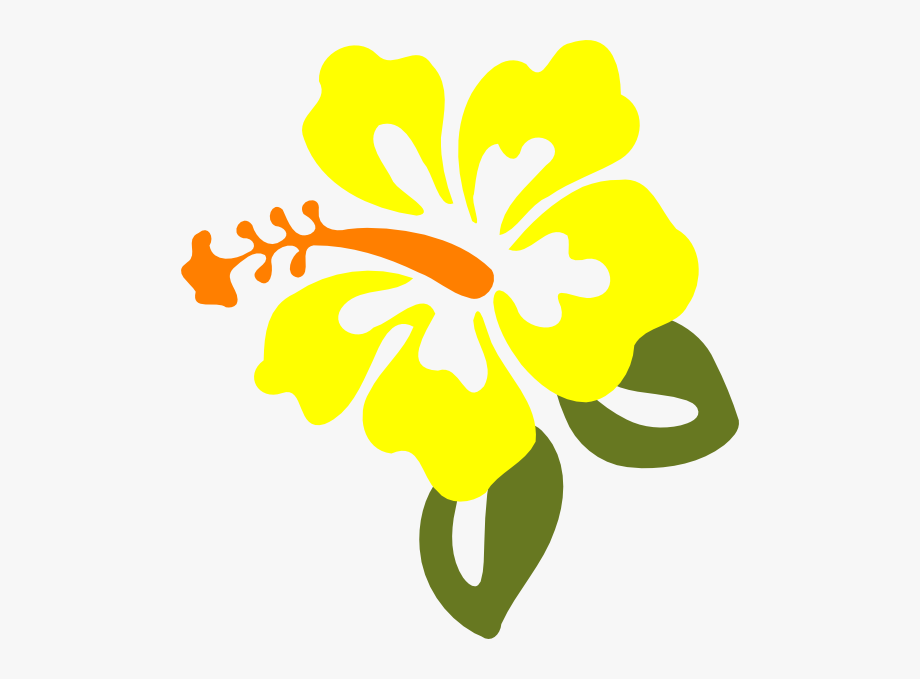 920x679 Yellow Hibiscus Clip Art At Vector Clip Art