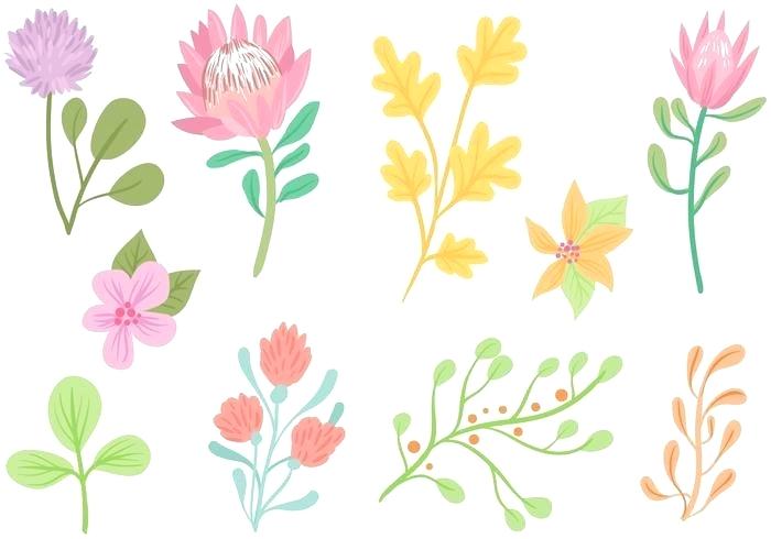 700x490 Clipart Vector Flowers Free