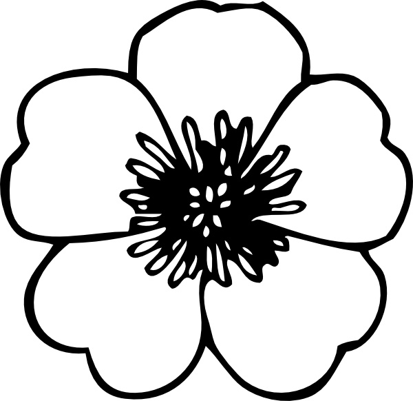 600x582 Buttercup Flower Clip Art Free Vector In Open Office Drawing