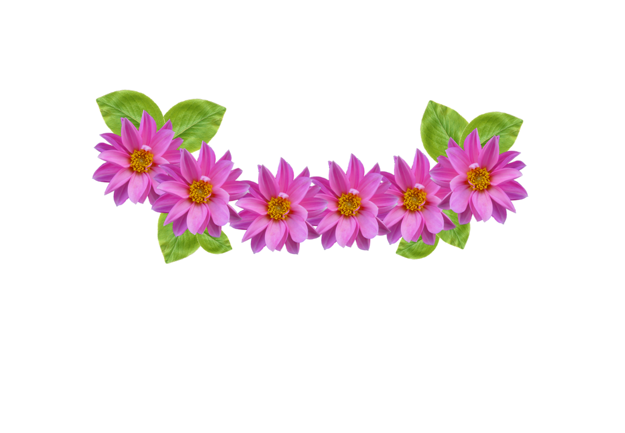 Flower Crown Vector at Vectorified.com | Collection of ...