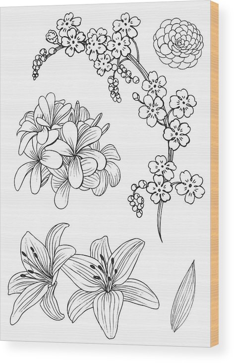 472x732 Set Of Exotic Flowers Doodle Vector Illustration Wood Print