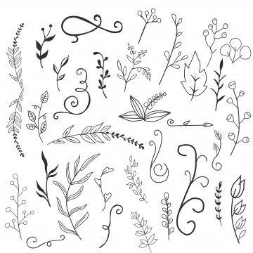 360x360 Flower Doodle Png, Vector, And Clipart With Transparent