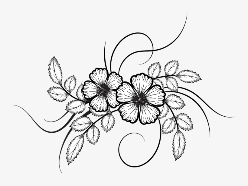 820x614 Flower Drawing Vector At Getdrawings
