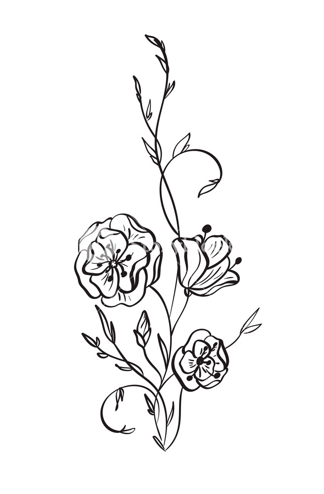 657x1000 Hand Drawn Wild Rose Flowers Vector Drawing And Sketch With Line