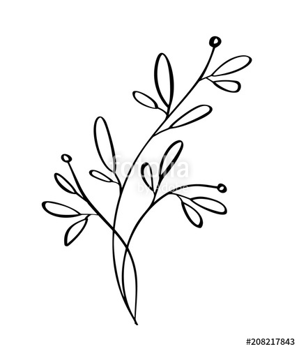 429x500 Hand Drawn Modern Flowers Drawing And Sketch Floral With Line Art