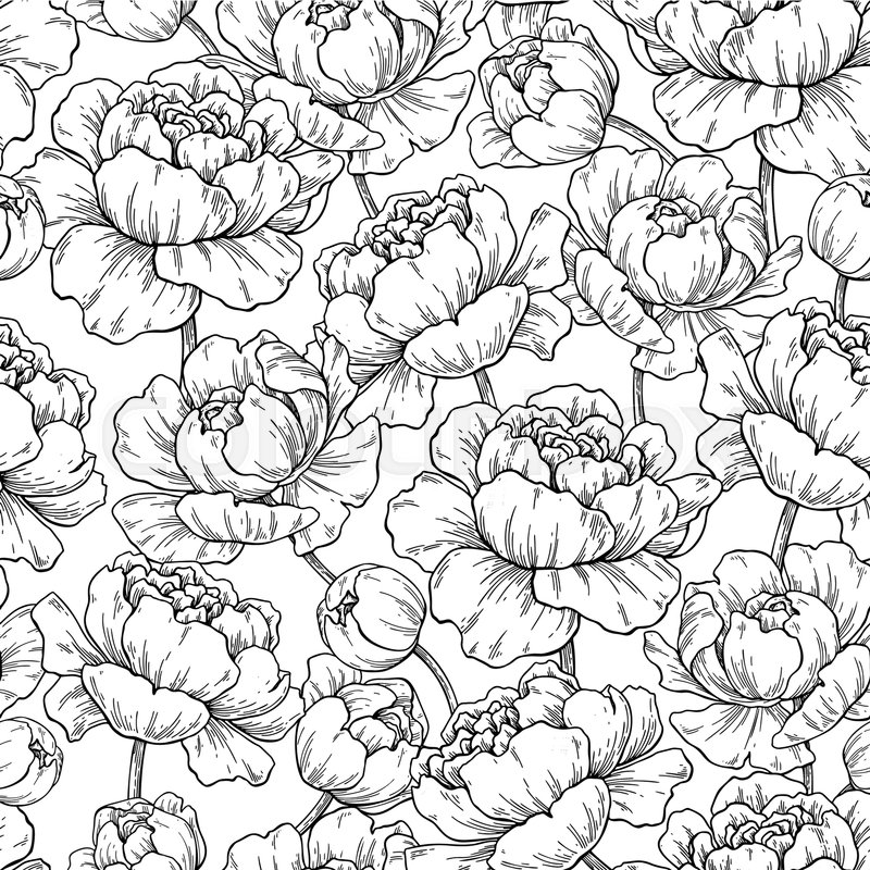 800x800 Peony Flower Seamless Pattern Drawing Stock Vector Colourbox
