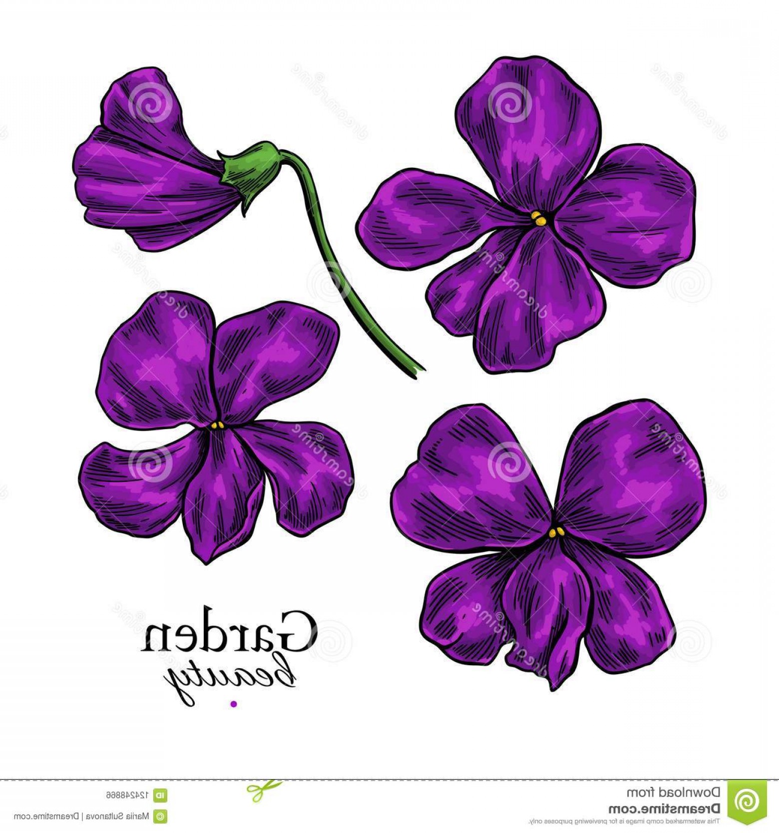 Flower Drawing Vector at Vectorified.com | Collection of Flower Drawing ...