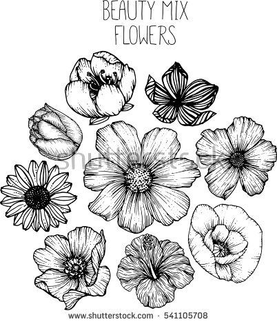 402x470 Mix Flowers Drawing Vector Illustration And Clip Art Cherry