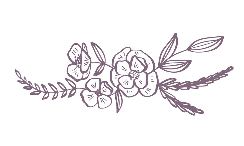 817x490 Modern Flowers Drawing And Sketch