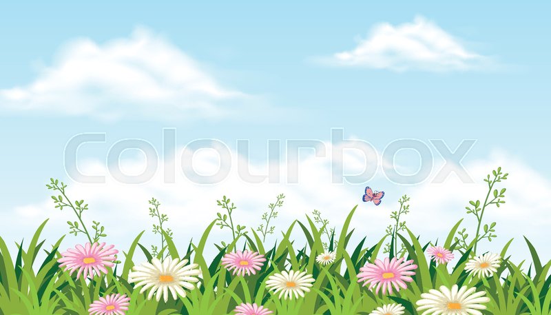 Flower Field Vector