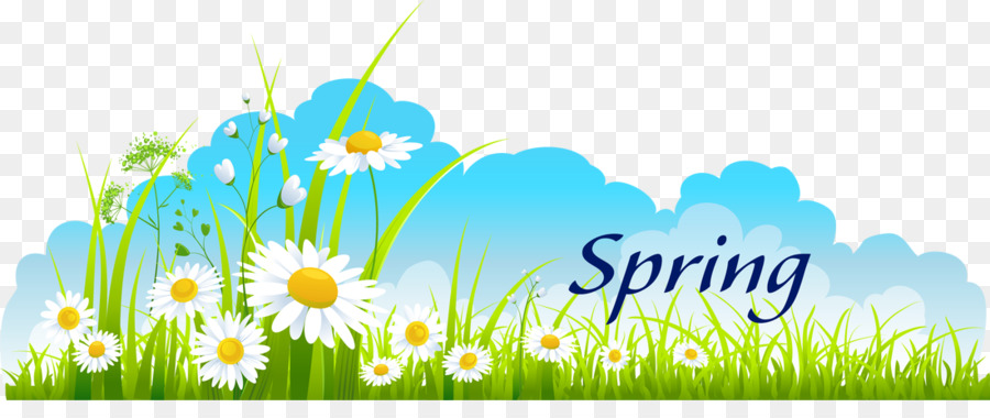 900x380 Flower Field