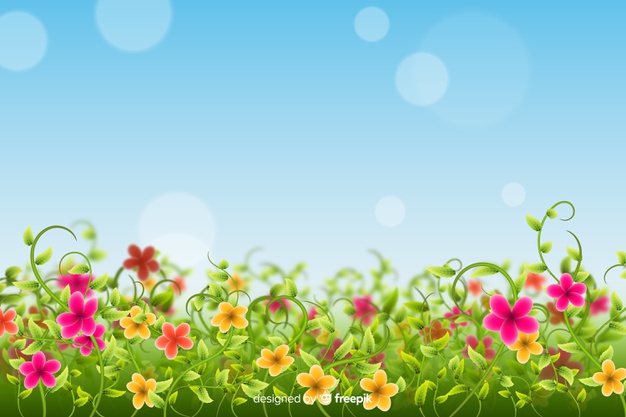 626x417 Flower Fields Vectors, Photos And Free Download