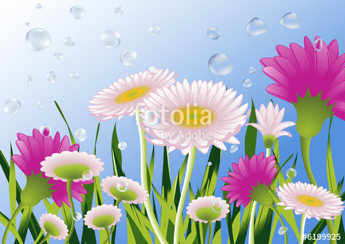 500x354 Flower Field, Vector Illustration Stock Photo And Royalty Free