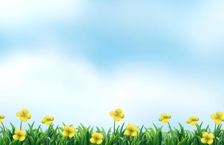 754x490 Flower Field