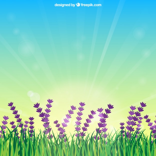 626x626 Flower Field With Sunrise Vector Free Download