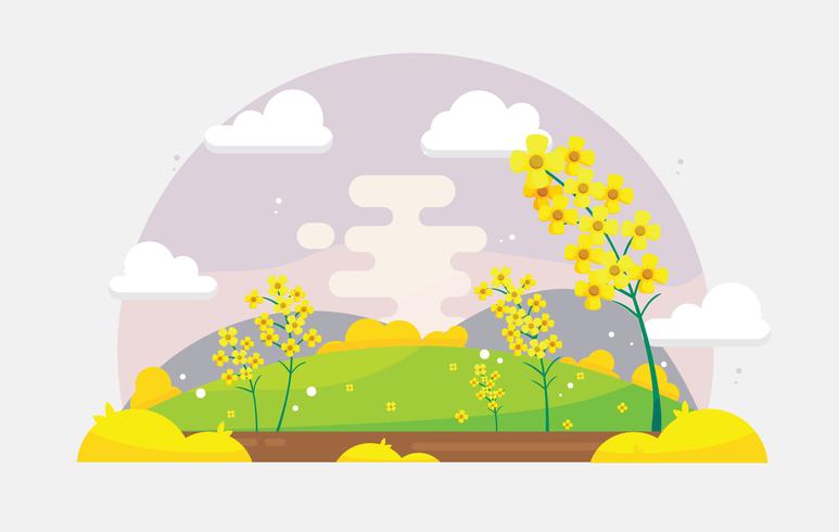 773x490 Free Canola Flower Field Vector