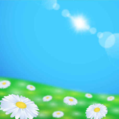 456x456 Free Daisy Flower Field Backgrounds Clipart And Vector Graphics