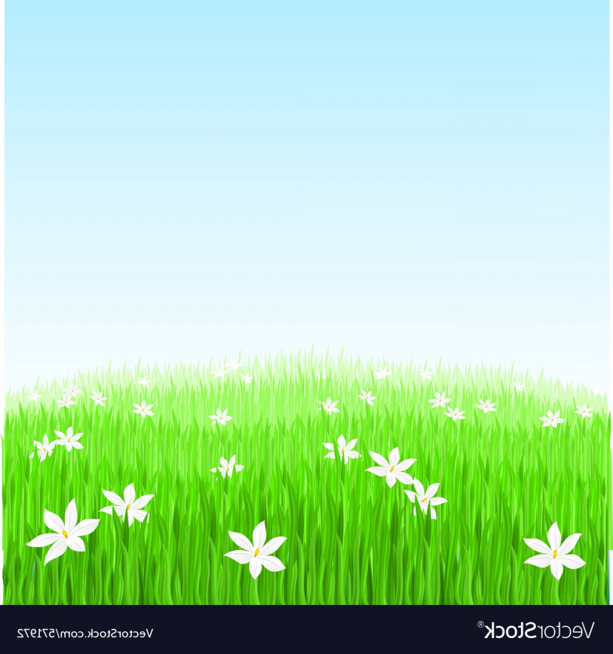 1200x1280 Green Grass Flower Field Vector Soidergi