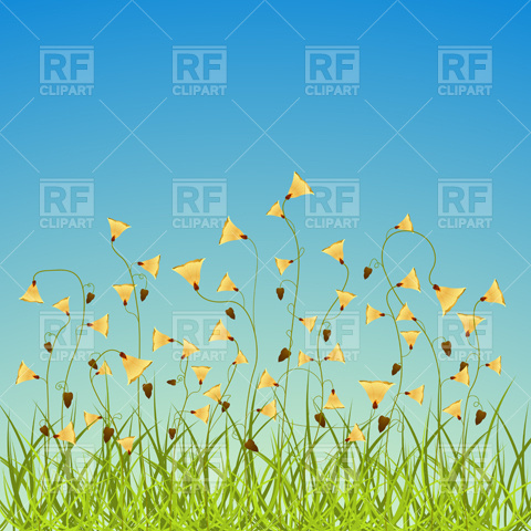 480x480 Spring Flowers Field Vector Image Of Backgrounds, Textures