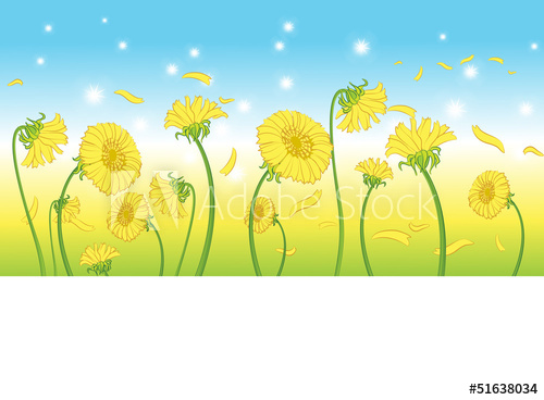 500x368 Flower Field