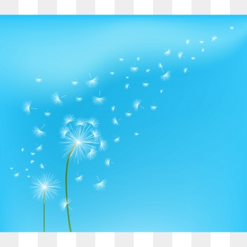 360x360 Flower Field Png Images Vector And Free Download