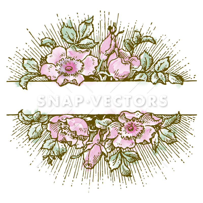 800x800 Vector Clipart Watercolor White Flower Frame