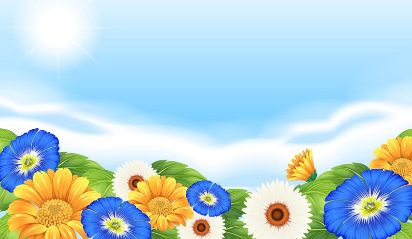 Flower Garden Vector