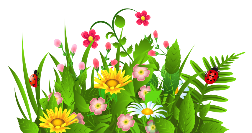 854x452 Flowers Clipart Border Flowers Clipart Clipart Spring Flowers