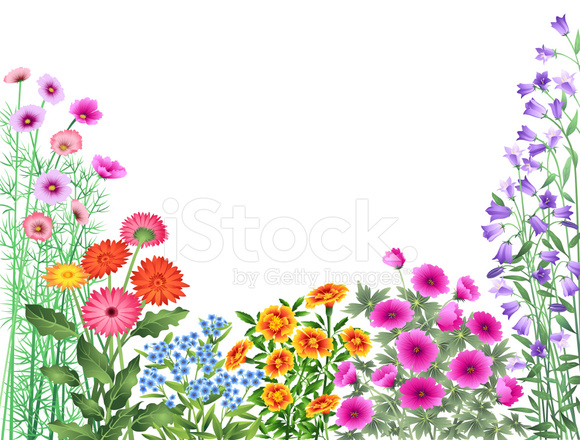 580x440 Garden Flowers Border Stock Vector