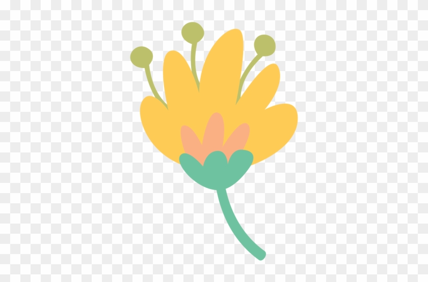 840x555 Flower Clipart Icon Opacity Collection