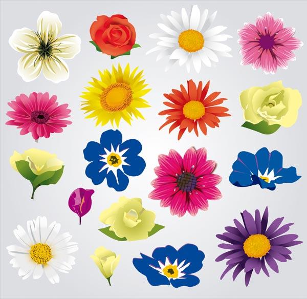 600x584 Colorful Flowers Vector Illustrator Pack Free Vectors Ui Download