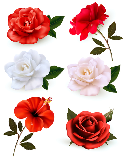 500x632 Colorful Flowers Illustration Vector Free Download
