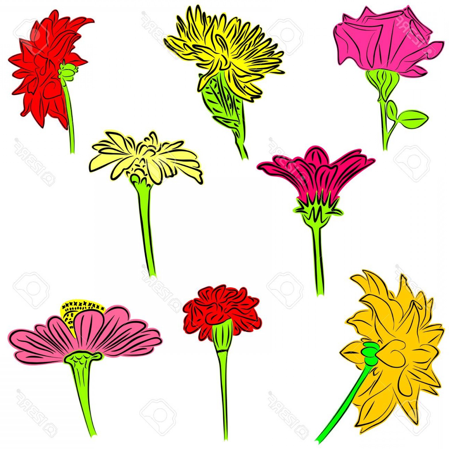 1560x1560 Flower Vector Soidergi