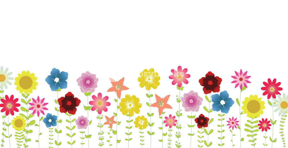 1000x514 Spring Flowers Vector Illustration Royalty Free Stock Image