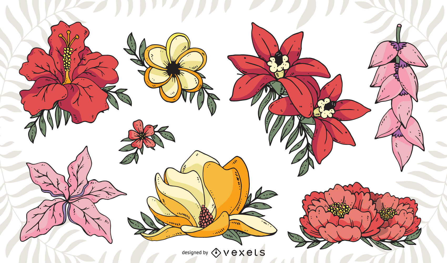 1700x1000 Tropical Flower Illustrations Pack