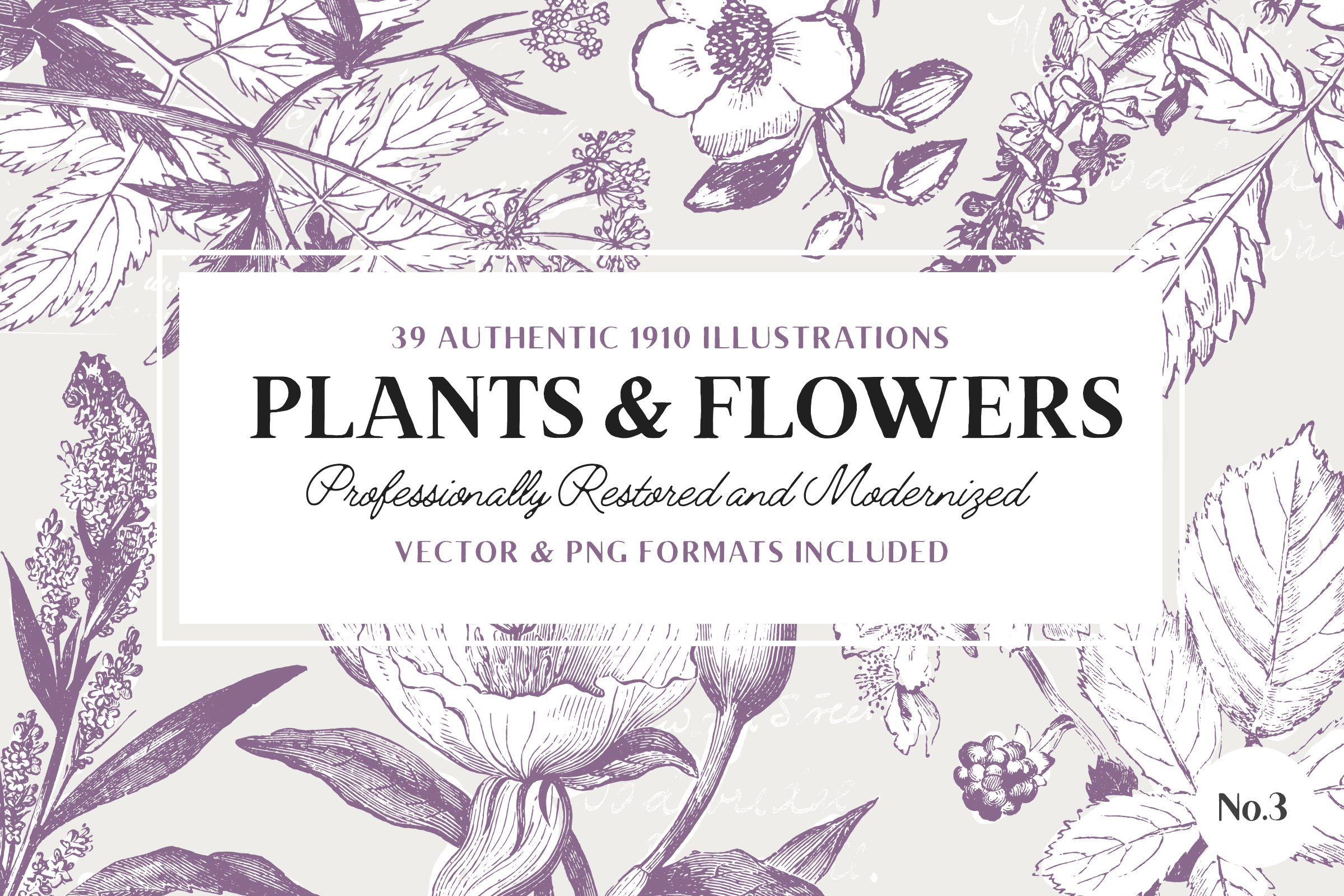 2400x1600 Plant Flower Illustrations