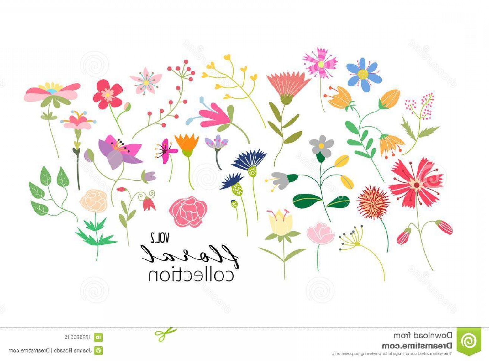 1560x1152 Wild Flower Meadow Illustration Vector Floral Elements Romantic