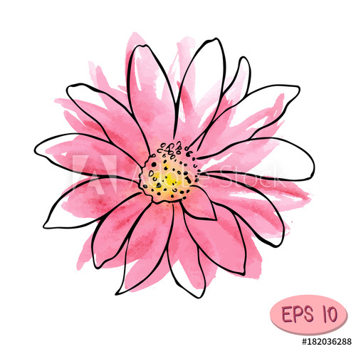500x490 Watercolor Vector Flower Illustration, Pink Flower Like Daisy