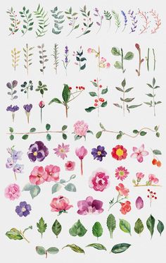 236x373 Best Vector Flowers Images In Vector Flowers