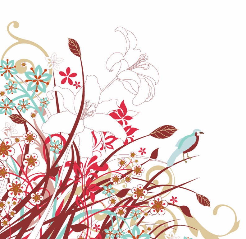 792x768 Beautiful Flower Vector Illustration Free Vector Graphics All