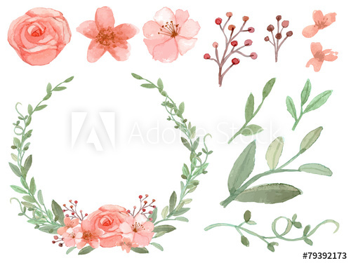 500x375 Set Of Flowers And Leaves Vector