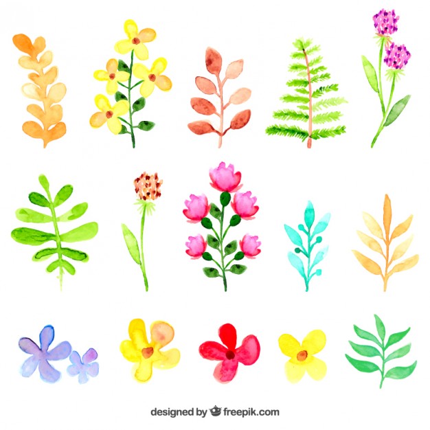 Flower Leaf Vector at Collection of Flower Leaf Vector free for personal use