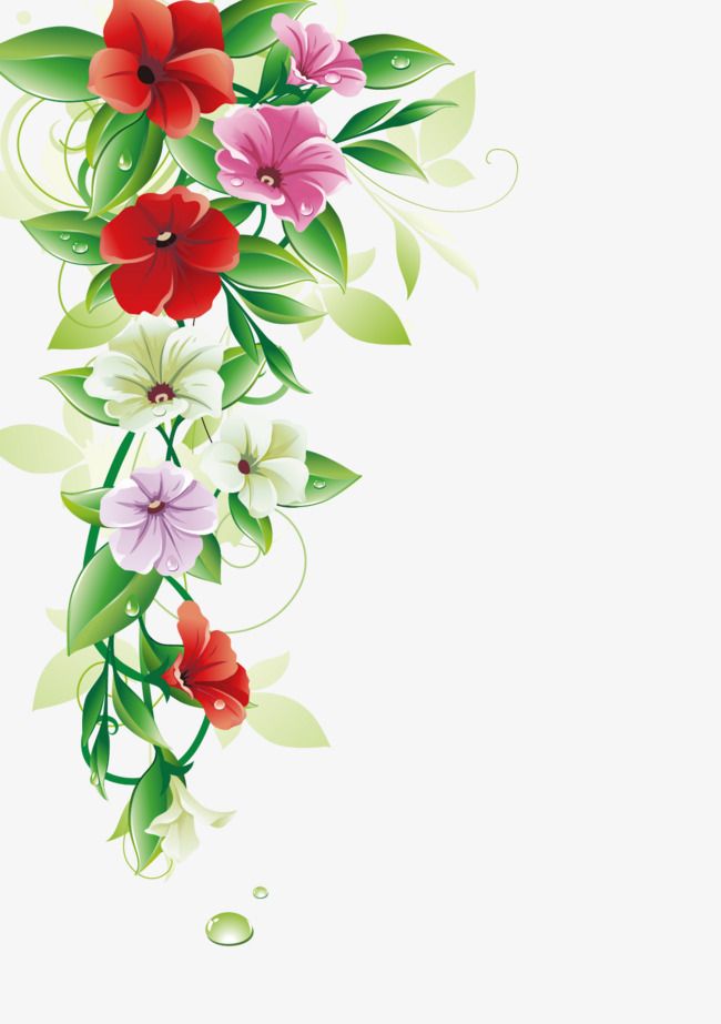 650x923 Flower Border, Vector Leaves, Petal Png Transparent Clipart Image