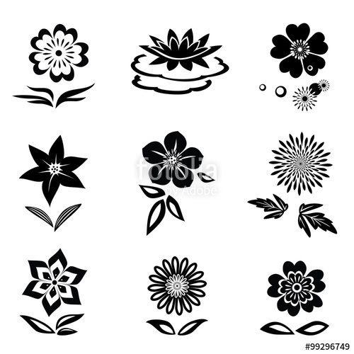 500x500 Flower Set Chamomile, Lily, Orchid, Water Lily Black Silhouettes