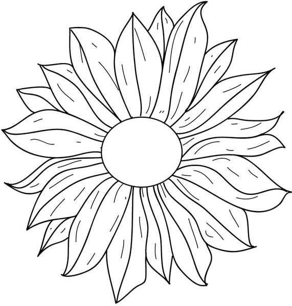 571x600 Flower Line Drawing Free Vector In Adobe Illustrator