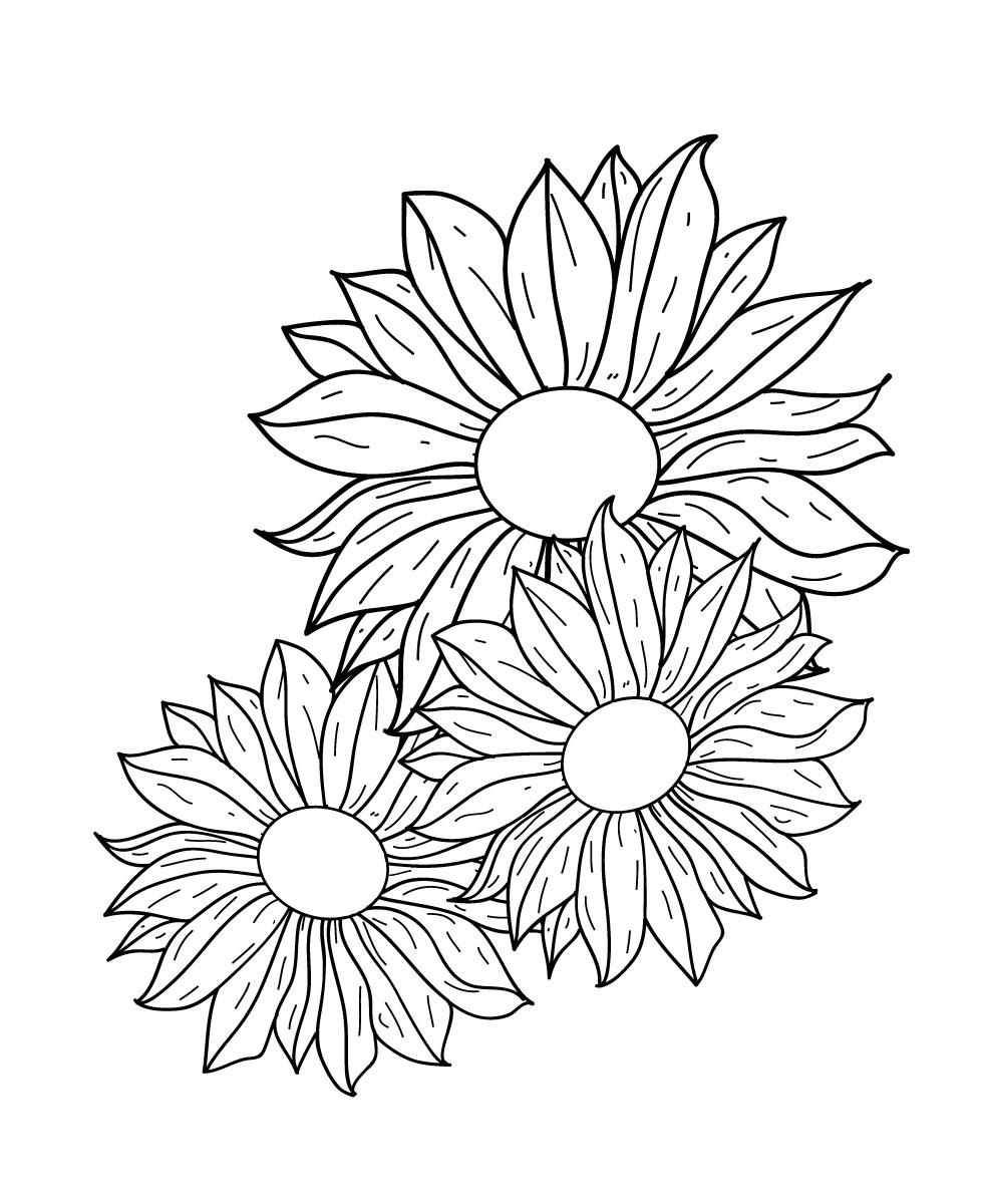 980x1200 Flowers Line Drawing Free Vector Free Vectors Ui Download
