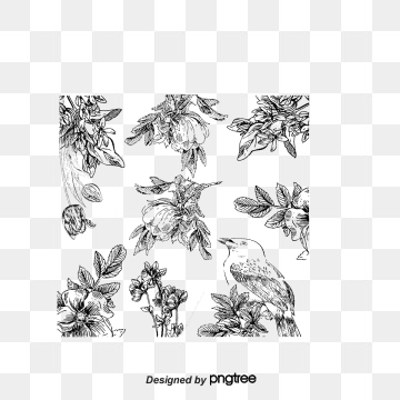 360x360 Flowers Line Drawing Png Images Vector And Free