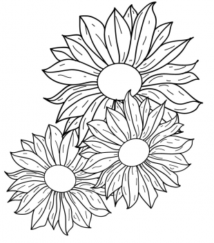 310x353 Flowers Line Drawing Free Vectors Graphic Free Download