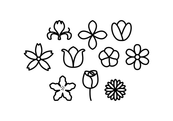700x490 Free Flowers Line Icon Vector