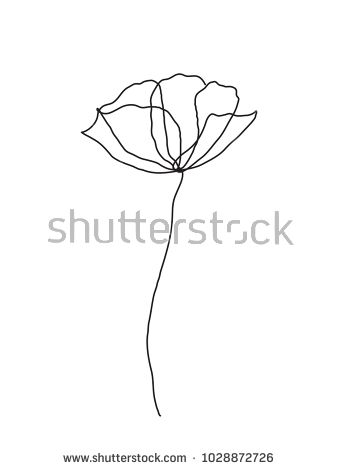338x470 Poppy Flower Line Art Minimalist Contour Drawing One Line